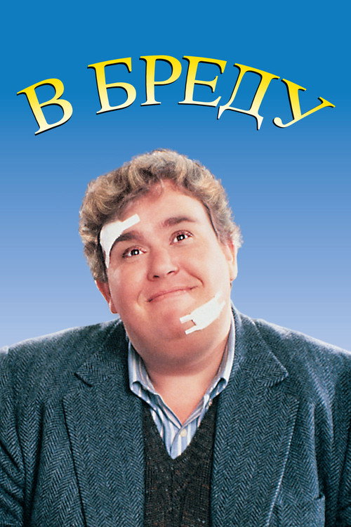 В бреду постер