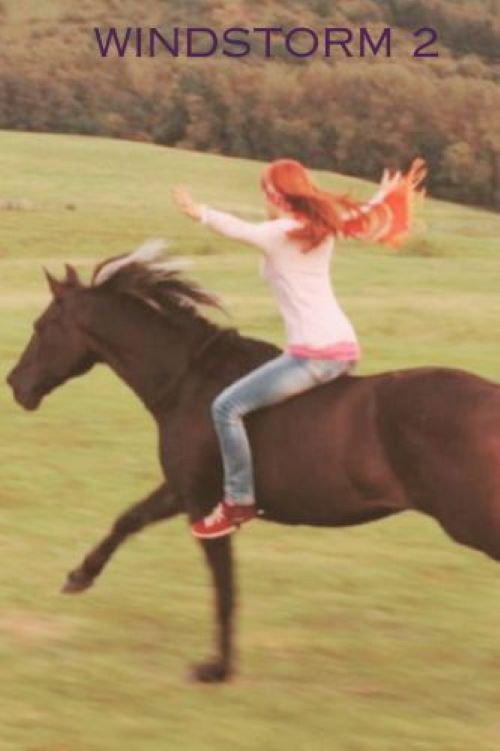 Windstorm 2 постер