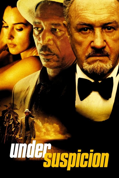 Under Suspicion постер