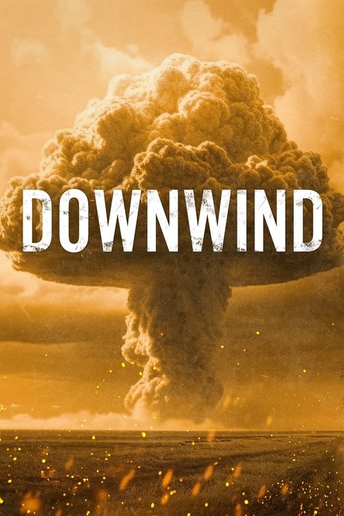 Downwind постер