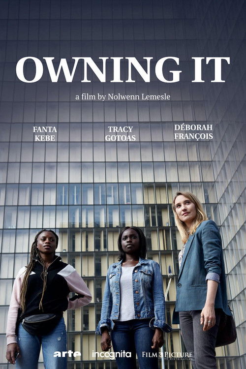 Owning it постер