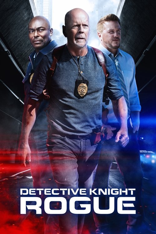 Detective Knight: Rogue постер