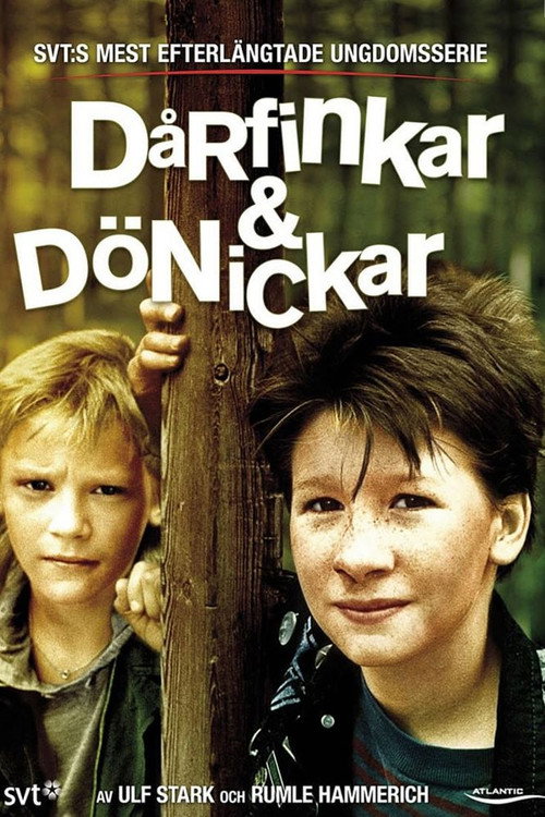 Dårfinkar & Dönickar: The Movie постер
