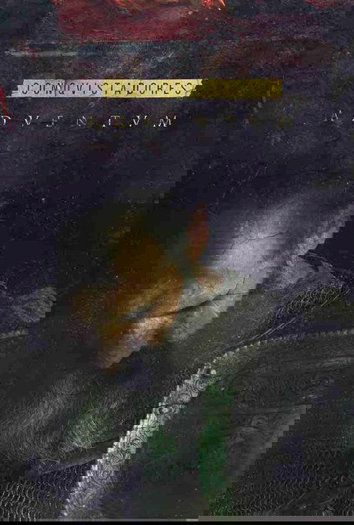 Завоеватели постер