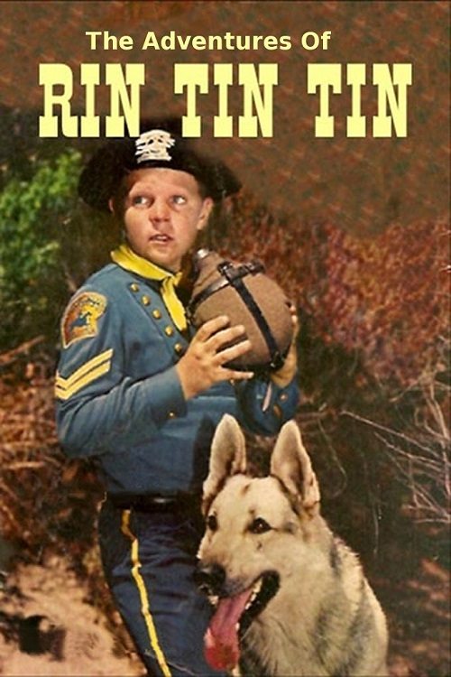 The Adventures of Rin Tin Tin постер