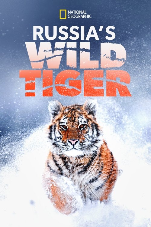 Russia's Wild Tiger постер