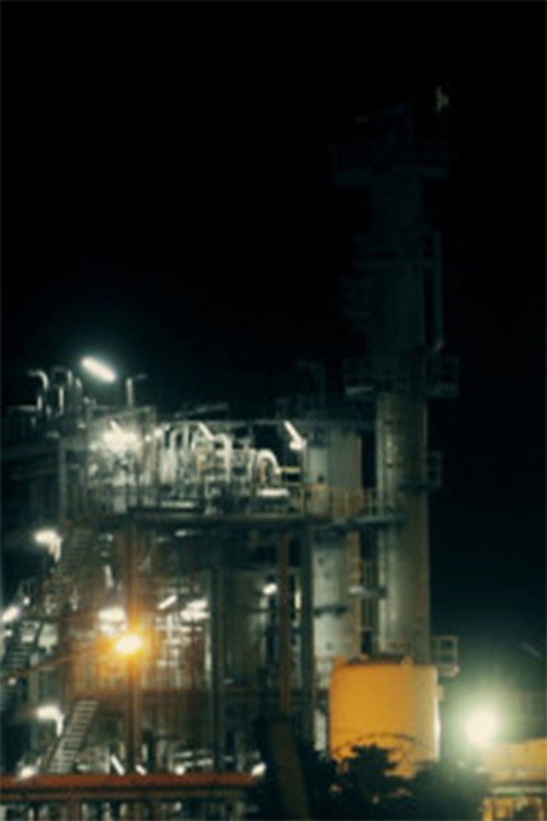 Splinters постер