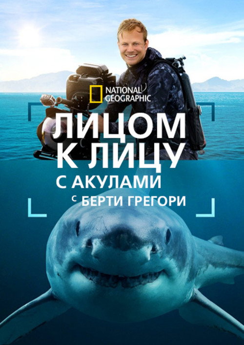 Лицом к лицу с акулами с Берти Грегори постер