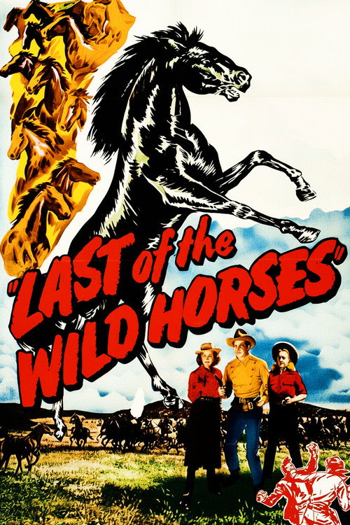 Last of the Wild Horses постер