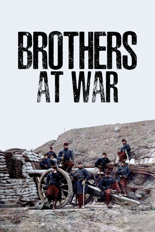 Brothers at War постер