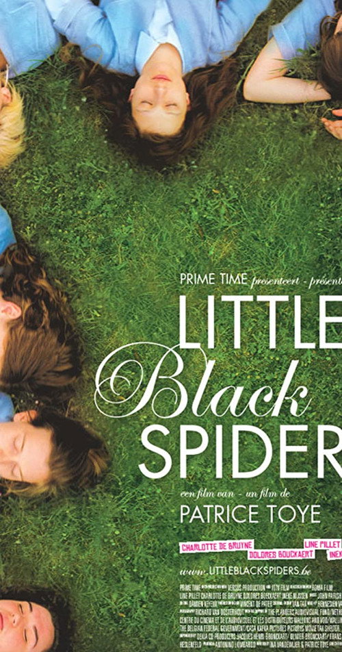 Little Black Spiders постер