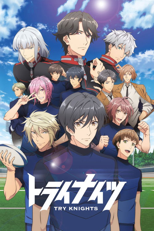 Try Knights постер