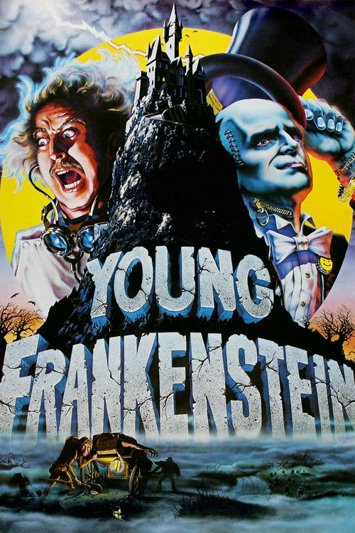 Young Frankenstein постер