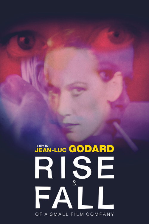 Rise and Fall of a Small Film Company постер