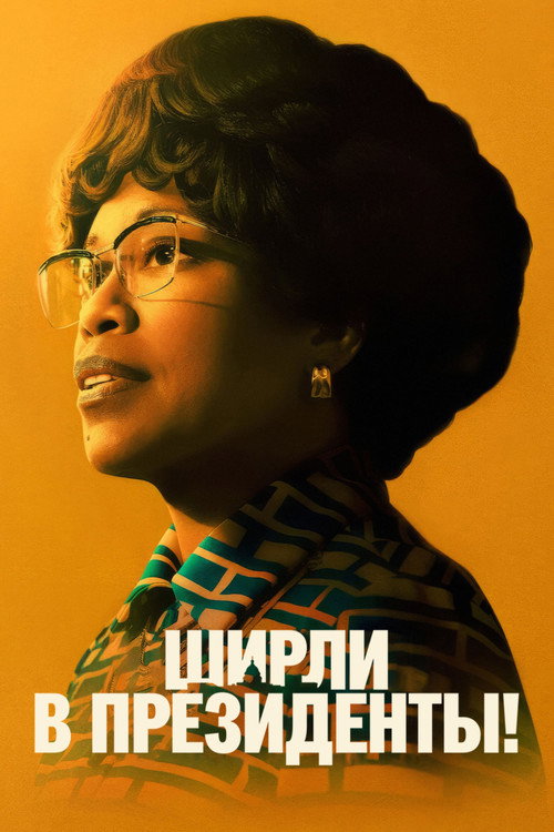 Ширли в президенты! постер