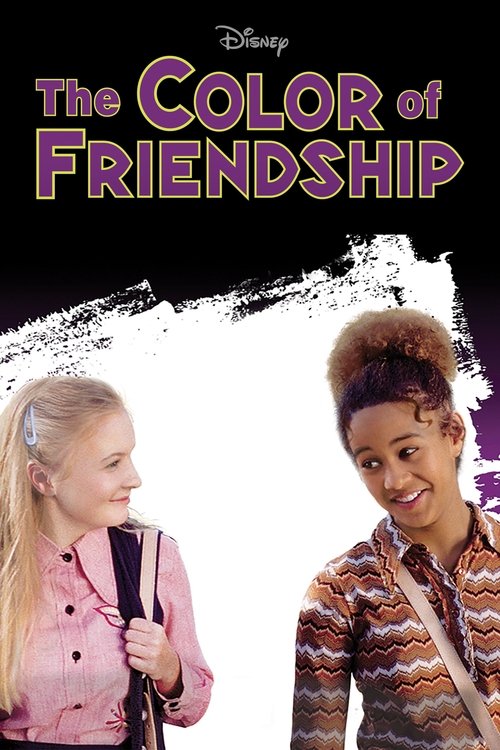 The Color of Friendship постер