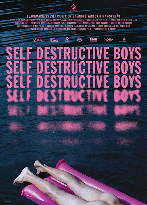Self Destructive Boys постер