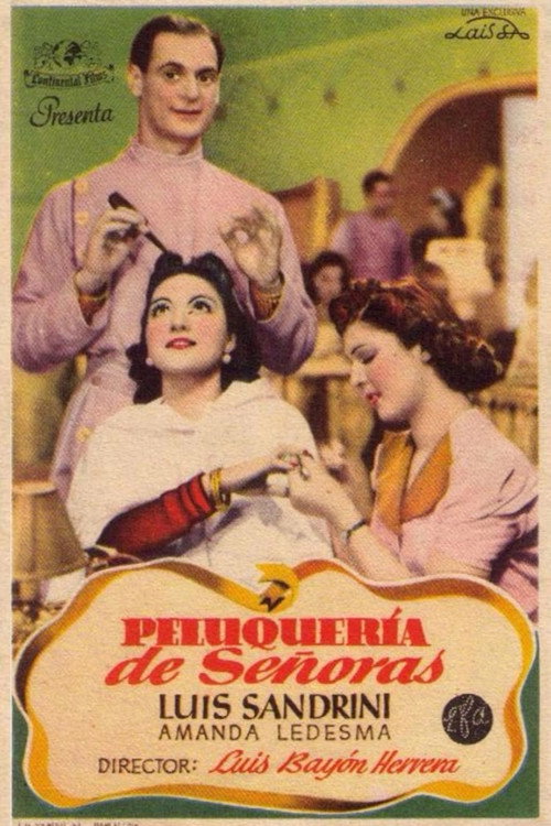 Peluquería de señoras постер