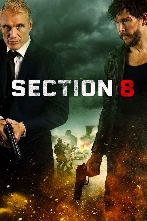 Section 8 постер