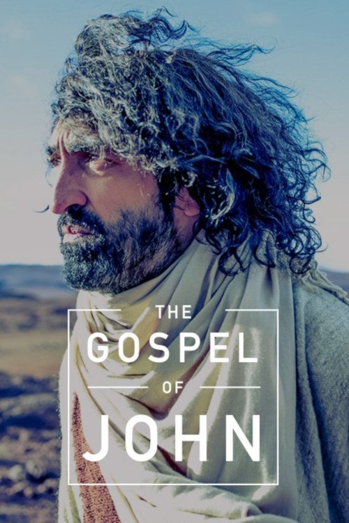 The Gospel of John постер