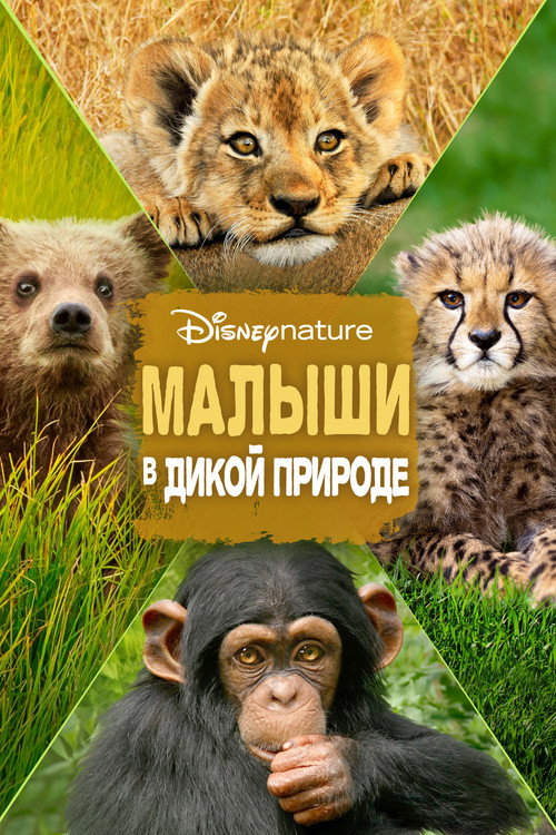 Малыши в дикой природе постер