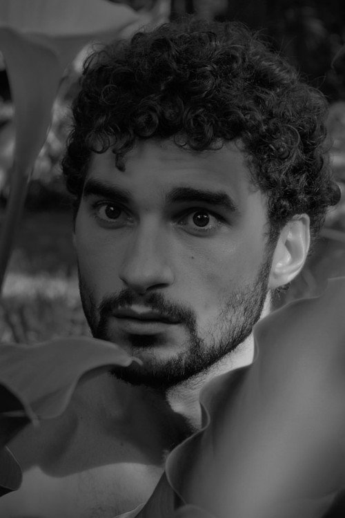 Perro perro постер