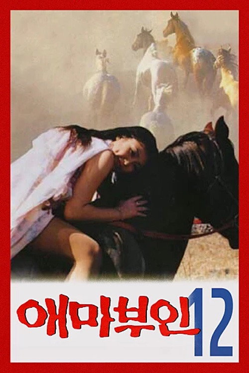 애마부인 12 постер