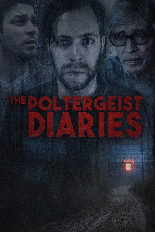 The Poltergeist Diaries постер