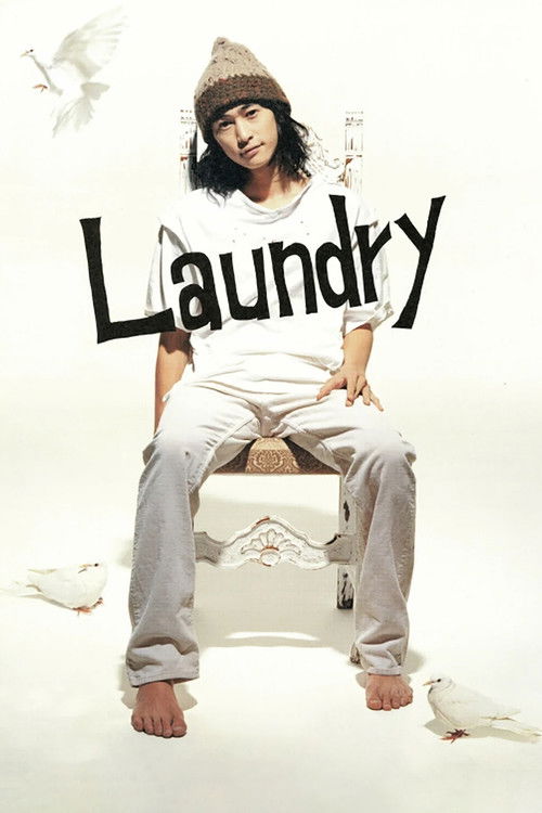 Laundry постер