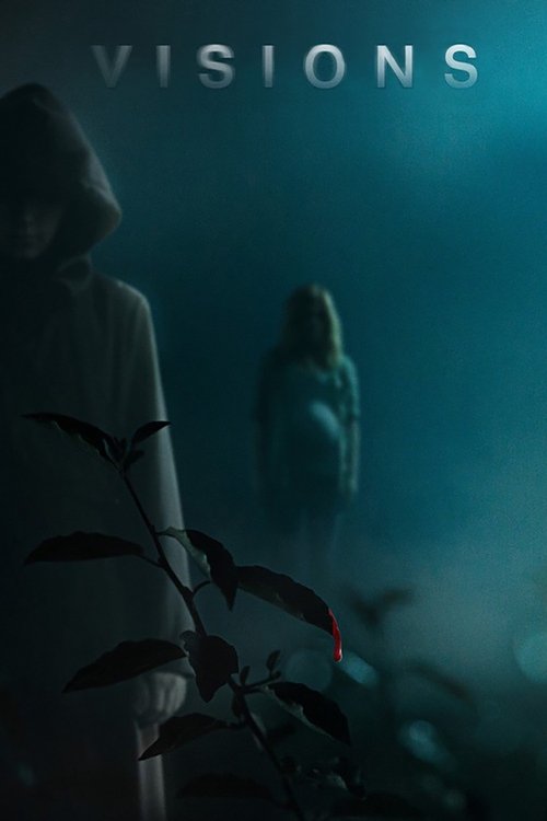 Visions постер
