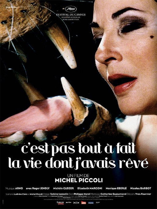 C'est pas tout à fait la vie dont j'avais rêvé постер