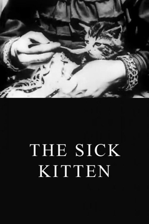 The Sick Kitten постер