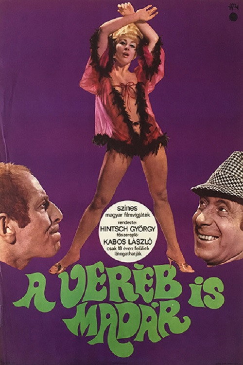 Sparrows Are Birds Too постер