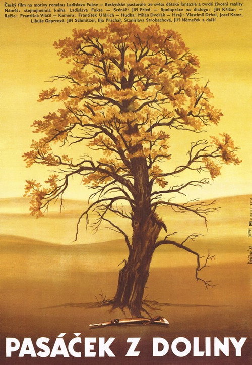 Pasáček z doliny постер