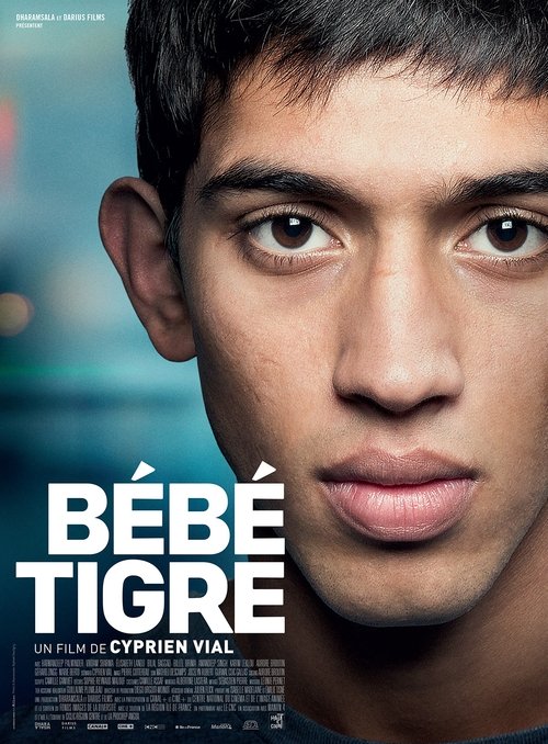Bébé Tigre постер