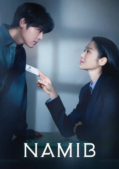 나미브 постер