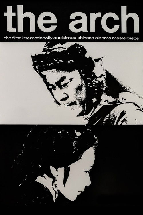 董夫人 постер