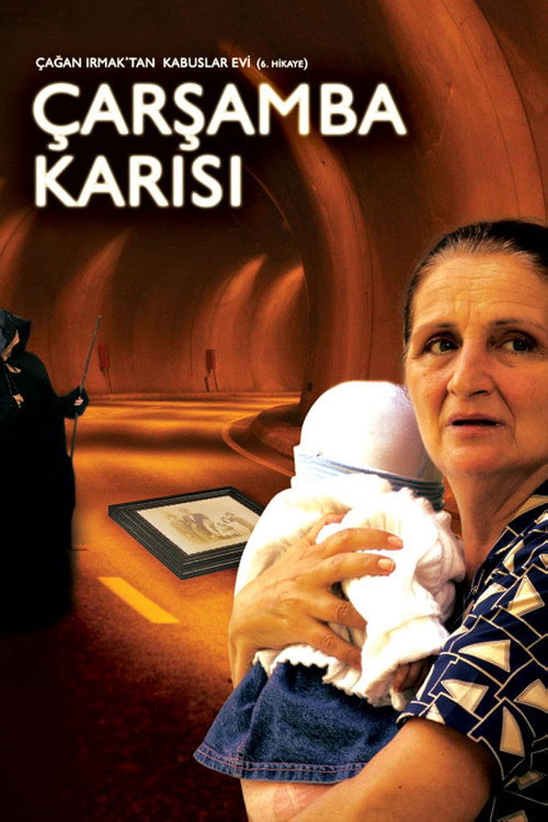 Kabuslar Evi: Çarşamba Karısı постер