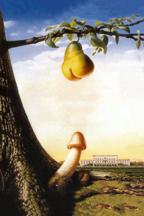 Les Saisons du plaisir постер