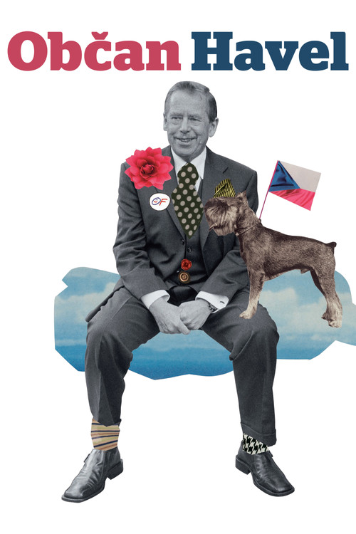 Občan Havel постер