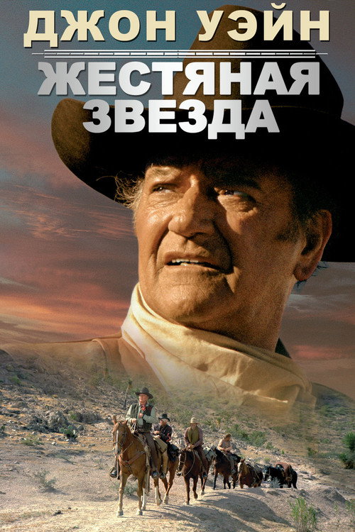 Жестяная звезда постер
