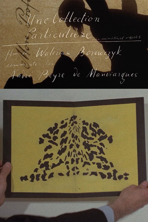 A Private Collection постер