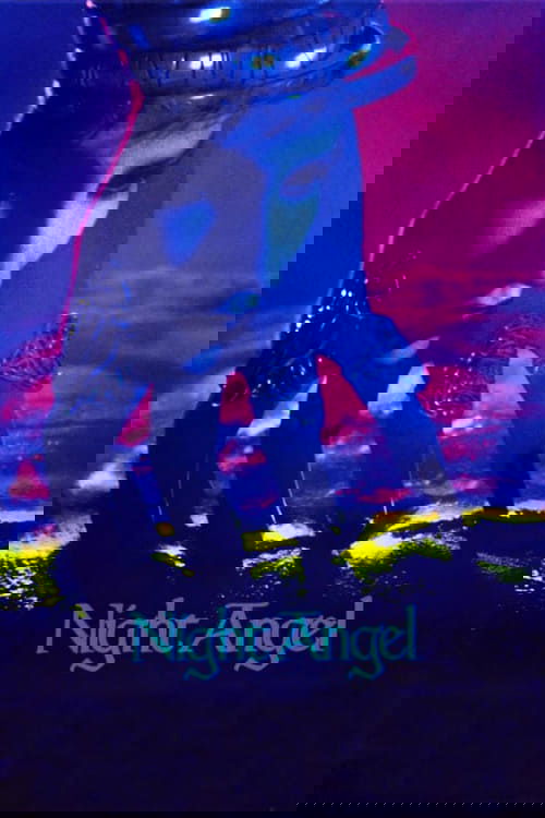 Ночной ангел постер