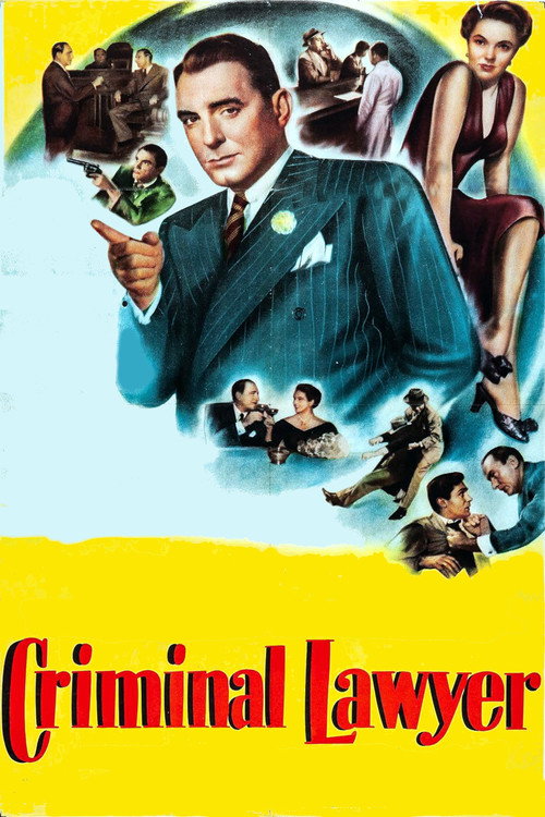 Criminal Lawyer постер