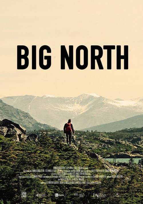Big North постер