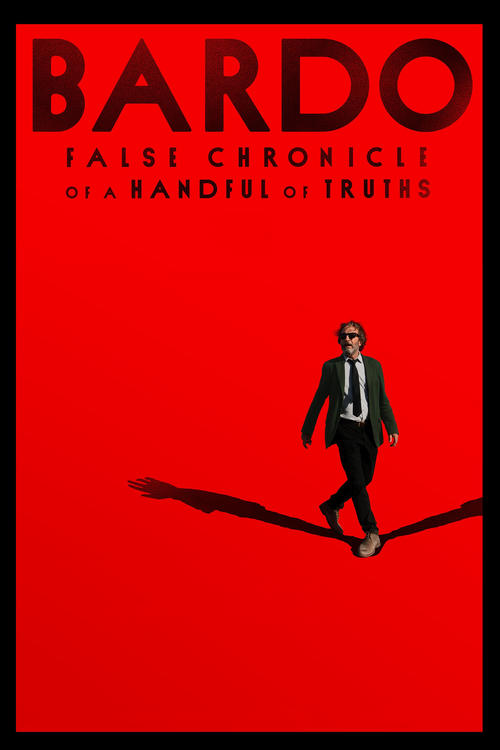 BARDO, False Chronicle of a Handful of Truths постер