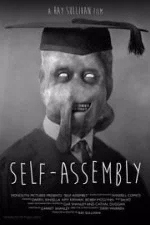 Self-Assembly постер