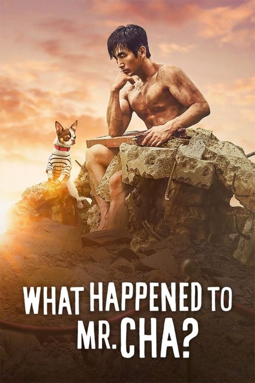 What Happened to Mr. Cha? постер