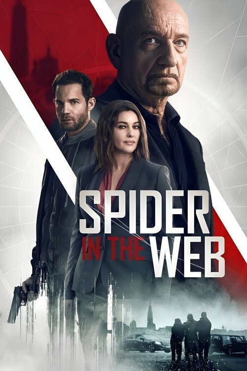 Spider in the Web постер