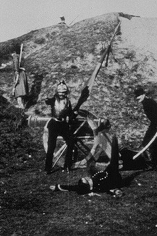 La défense du drapeau постер